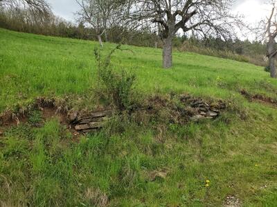 Sanierung von Trockenmauern zur Umsetzung des Biotopverbunds im Landkreis Calw