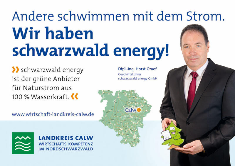Schwarzwald Energy GmbH