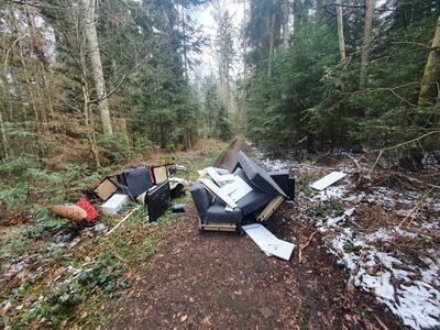 Bild vergrößern: Wilder Müll im Wald bei Calw-Altburg: Verursacher identifiziert, Stadt Calw