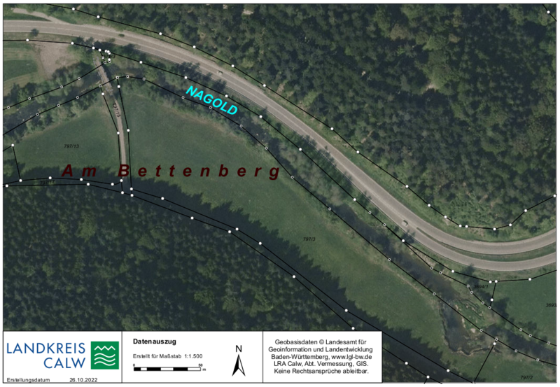 Bild vergrößern: Wildberg Auwald, Luftbild 2012 vor Umsetzung